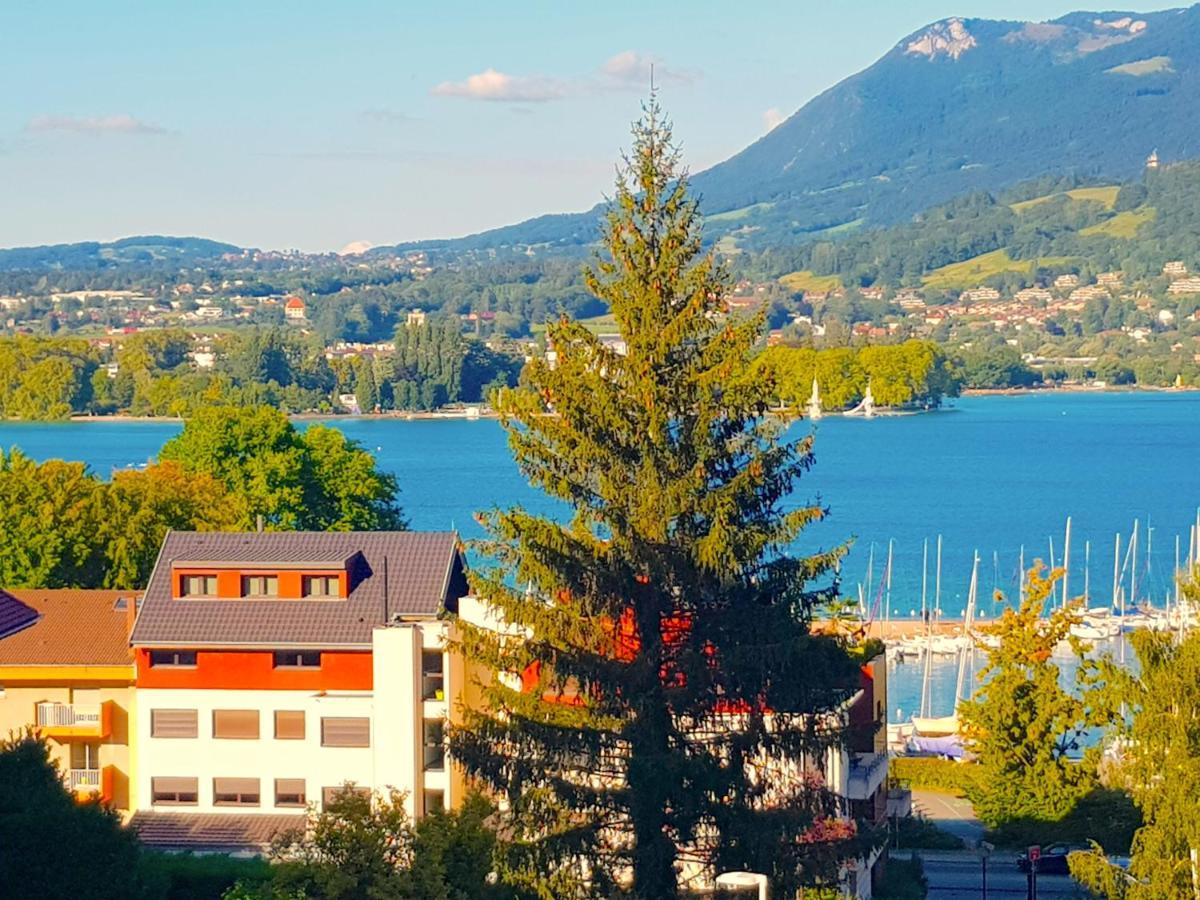 Corniche Joli T2 A 300 M Du Lac Avec Parking Prive Annecy Bagian luar foto